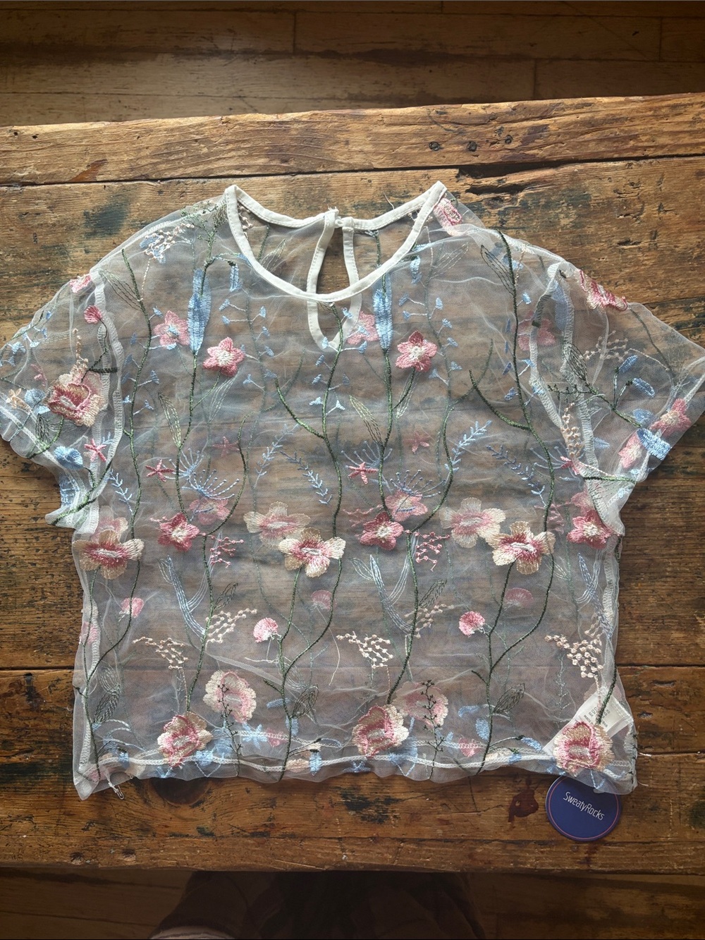 Embroidered Floral Sheer Crop Top - White with Pink & Blue Flowers